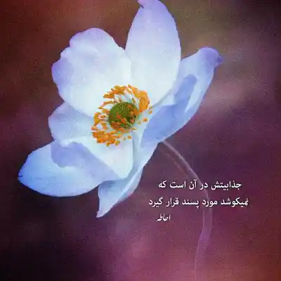 دانلود آهنگ  اذان مغربو تنگ غروبه فرهاد جهانگیری